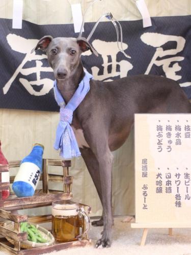 20240625ムサシくん